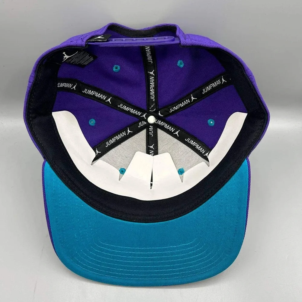 Charlotte Hornets x Air Jordan Hat Men Purple Blue Jumpman Snap Back Cap New